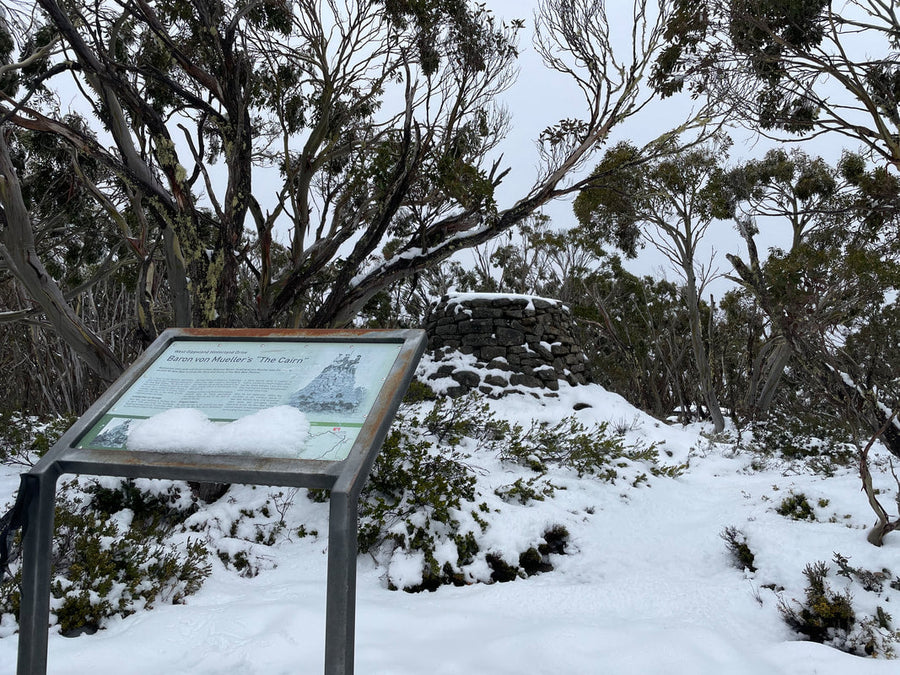 A Promising Start in the Victorian High Country