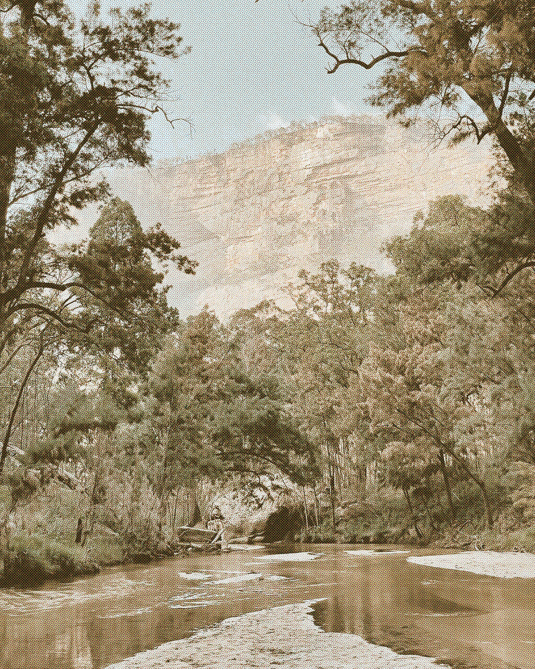 Into the Wild Corners of Wollemi