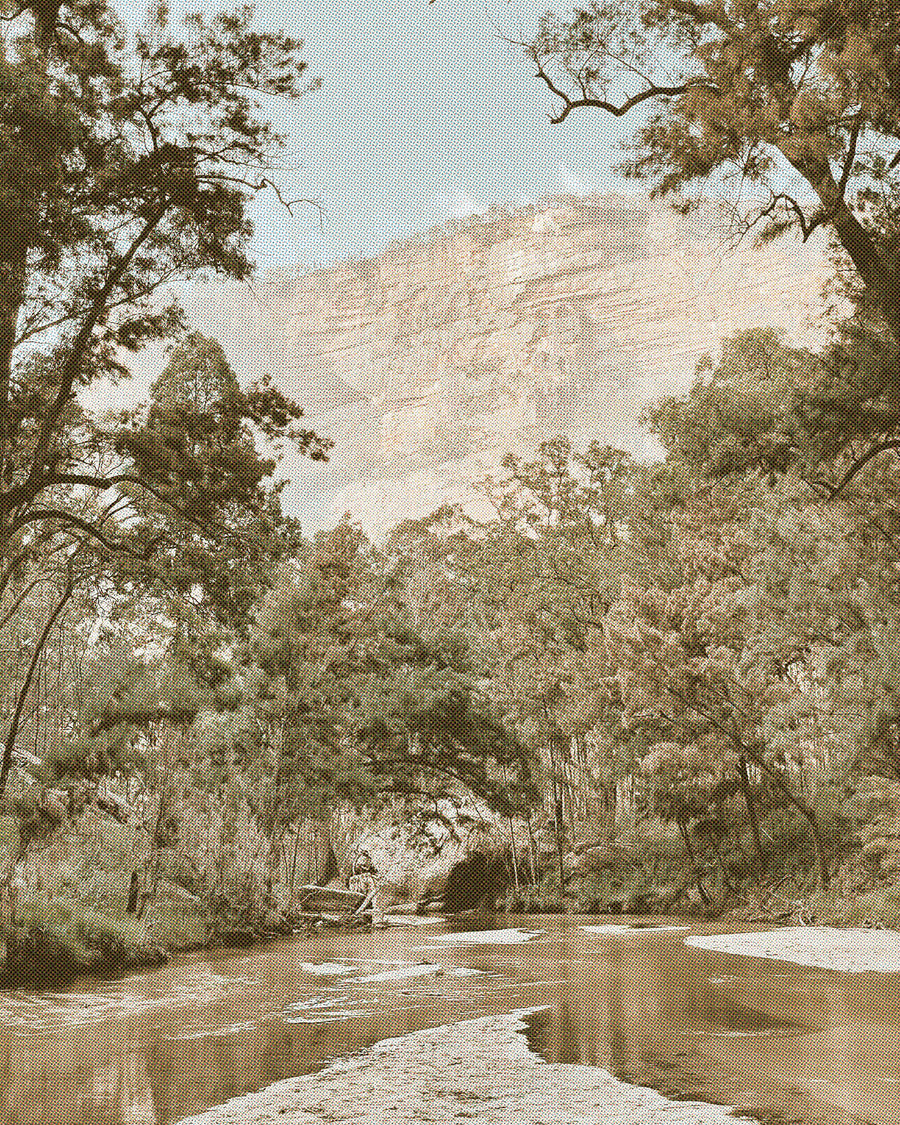 Into the Wild Corners of Wollemi