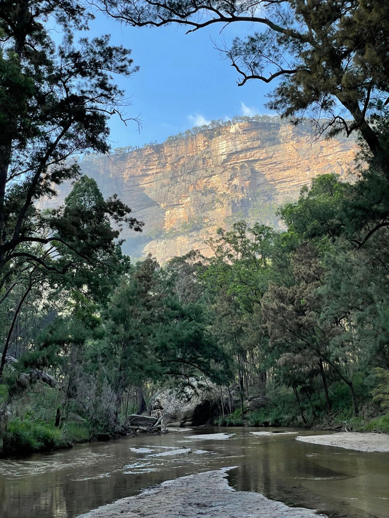 Into the Wild Corners of Wollemi