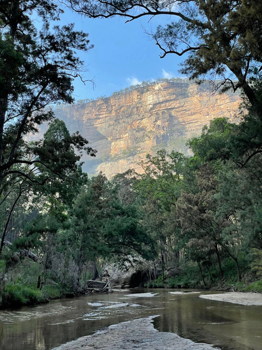 Into the Wild Corners of Wollemi