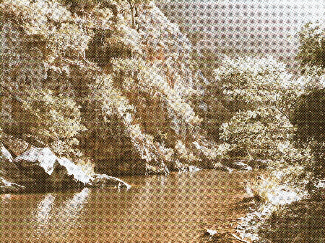 A Day Out at Lerderderg Gorge