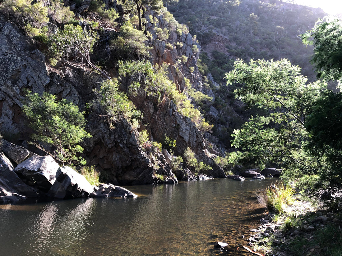 A Day Out at Lerderderg Gorge