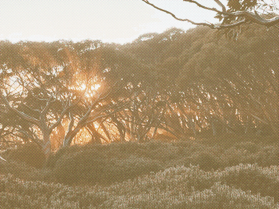 A Promising Start in the Victorian High Country