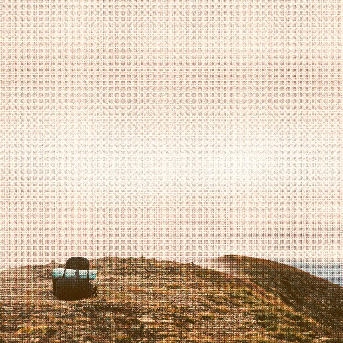 Pack to Plate on the trail