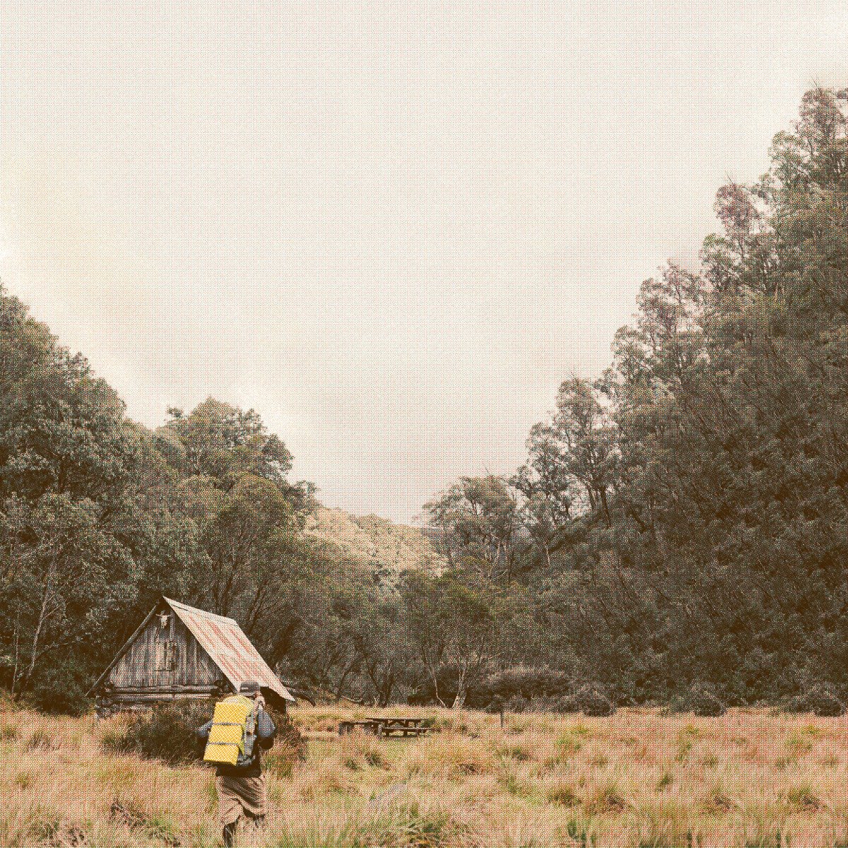 Pack to Plate on the trail